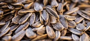 how to eat sunflower seeds for weight loss