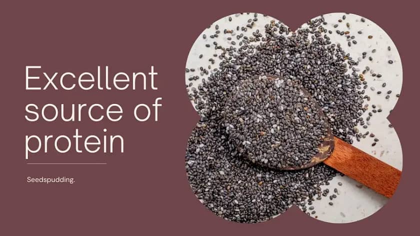 chia seeds nutritional facts