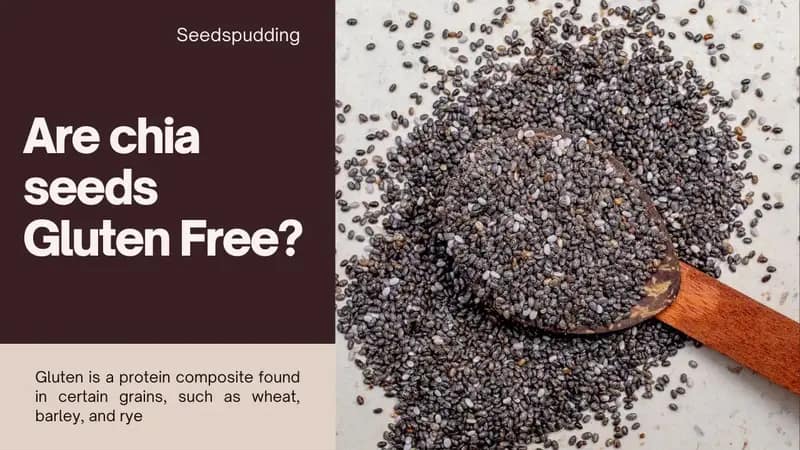 are chia seeds gluten free